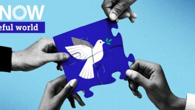 World Peace Day and the Kurds: Ending the Cycle of Violence or Perpetuating the Crisis?