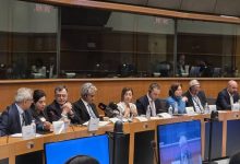 Human rights violations European Parliament