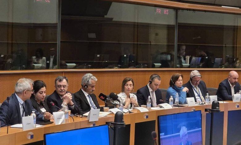 Human rights violations European Parliament