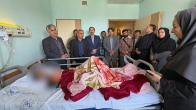 Sanandaj child abuse case protection system
