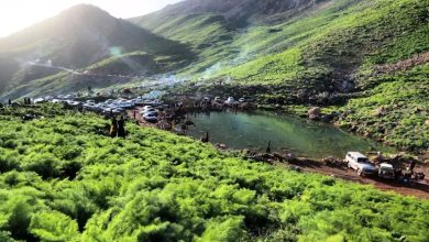 Paveden Demokrata: Kamiar Valizadeh ve Sosyal Zorluklar