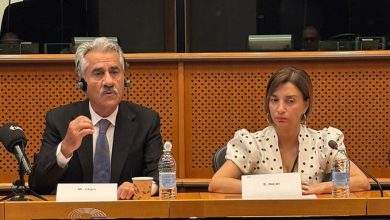 Mustafa Hicri Avrupa Parlamentosu konuşması eleştirisi