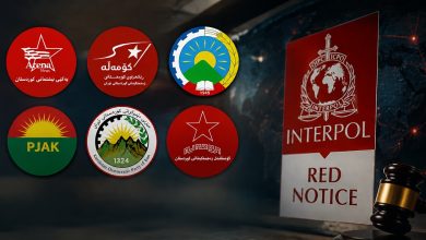 Bireysel Cezai Sorumluluk Interpol