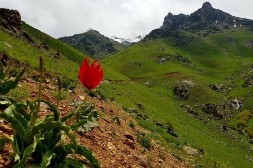 فرهنگ، موسیقی و هنر؛ میراث زنده کردها