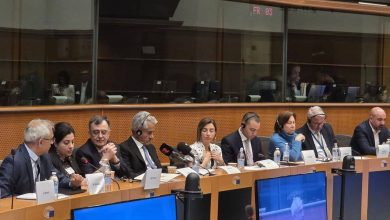 نقض حقوق بشر در پارلمان اروپا